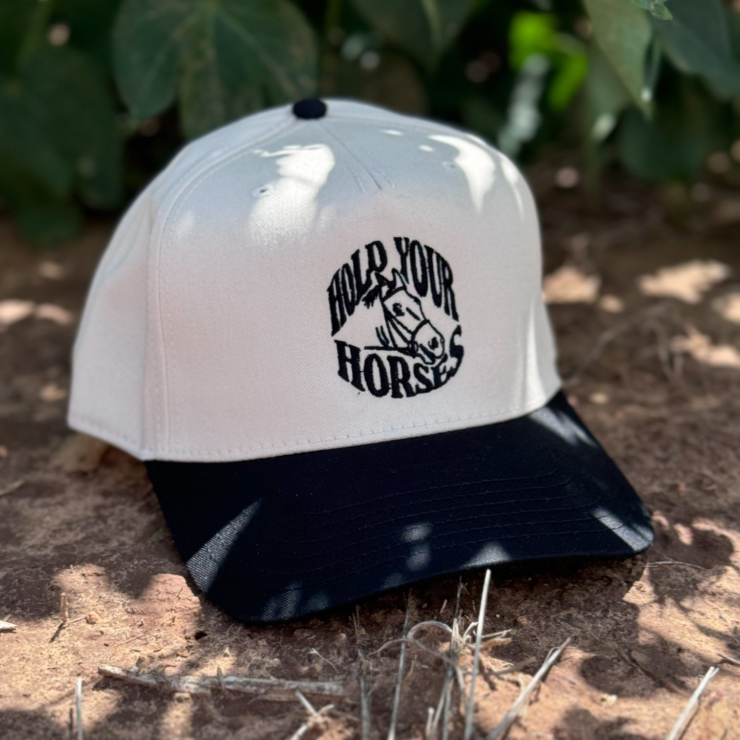 Hold Your Horses Snapback